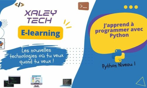 Programmation Python – Niveau 1